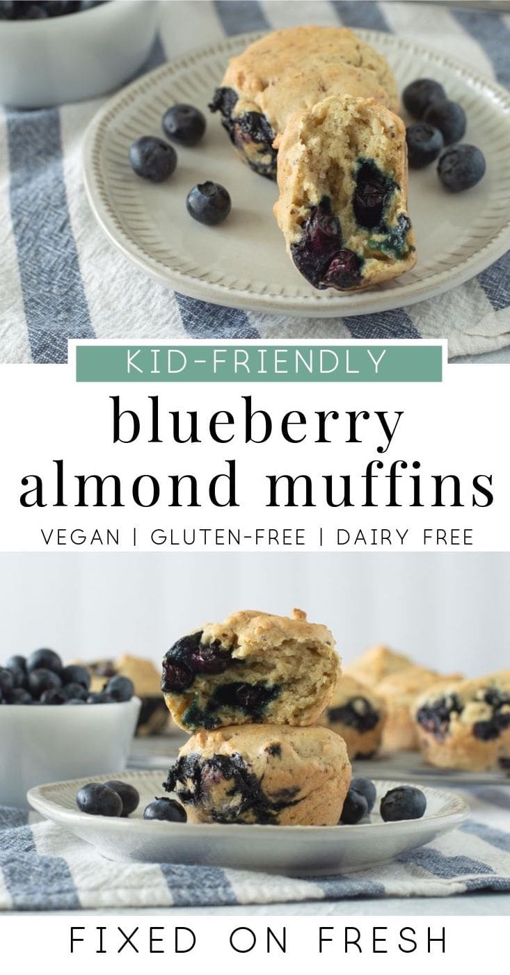 Delicious, easy to make, blueberry muffins are vegan, gluten free and dairy free. These are a great low sugar breakfast for kids. #veganrecipe #breakfastrecipe #blueberrymuffins
