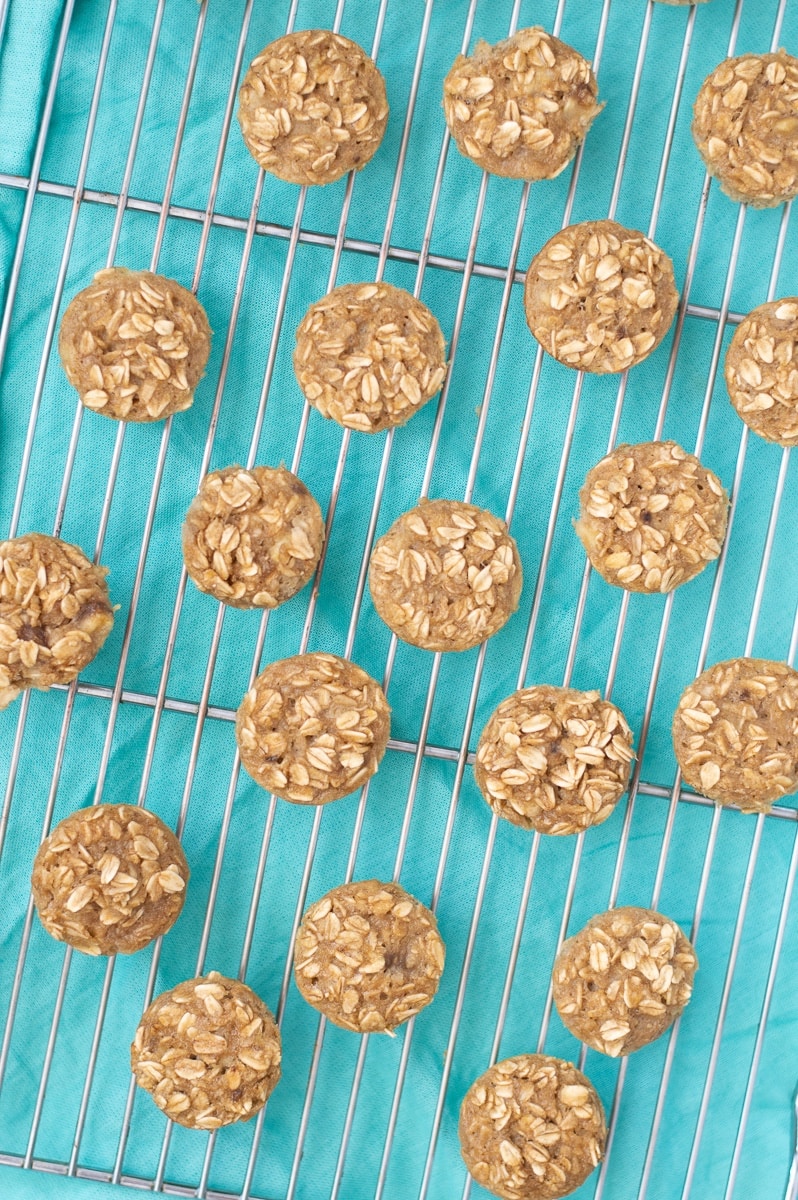 Banana Oatmeal Bites are easy to make and gluten-free. A mixture of oats, high fiber flax meal, bananas, and few pantry and fridge staples and you'll have a kid-friendly on-the-go breakfast! 